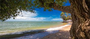 Restaurant Listing Partner Whitsundays Tourism