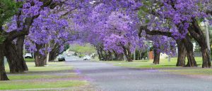 Restaurant Listing Partner Grafton Accommodation